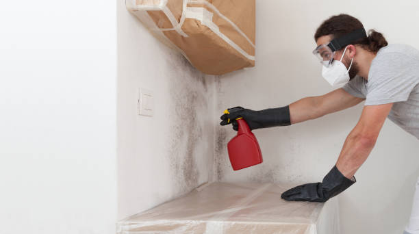 Professional Mold Inspection technician working in Warfield, VA