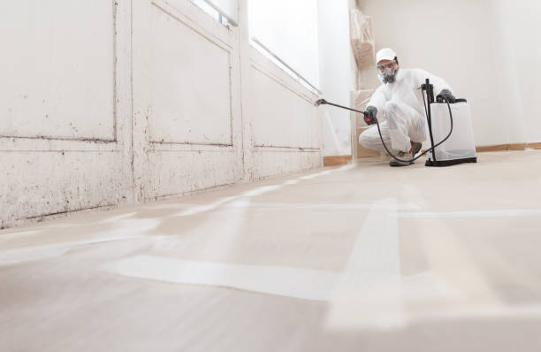 24/7 Emergency Mold Inspection experts in Warfield, VA