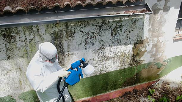 Trusted Mold Testing service in Warfield, VA - Cheap Mold Removal